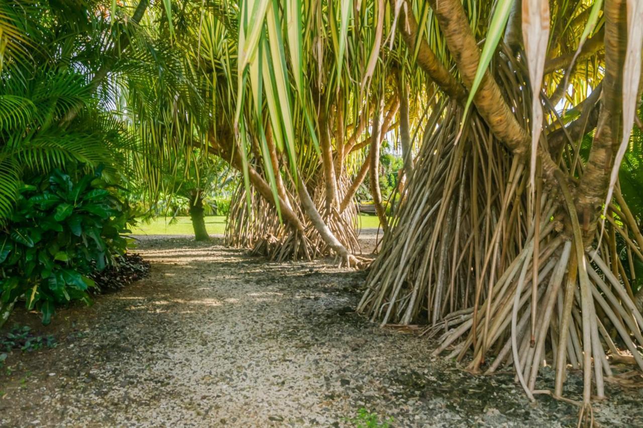 Aroha Taveuni Beachfront Bures Waiyevo Dış mekan fotoğraf