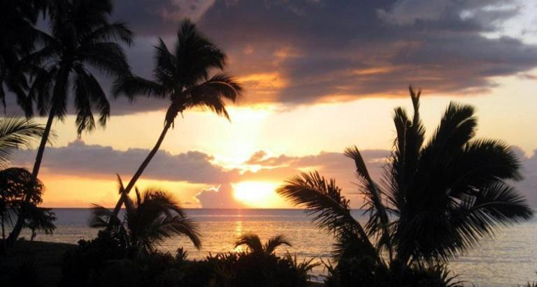 Aroha Taveuni Beachfront Bures Waiyevo Dış mekan fotoğraf